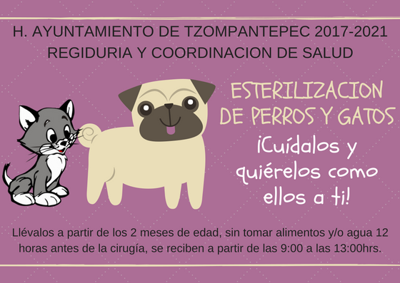 Realizarán esterilización de perros y gatos en Tzompantepec